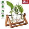 Desktop Glass Planter Bulb Plant Terrarium with Wooden Stand Air Planter Glass Vase Metal Swivel Plant Vase for Hydroponics